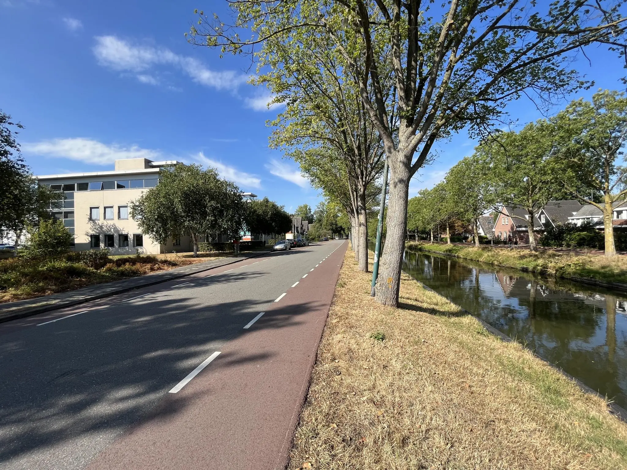 Boomrijke straat in Leidse Rijn met een fietspad, een kantoorgebouw links en een kanaal met woonhuizen rechts.